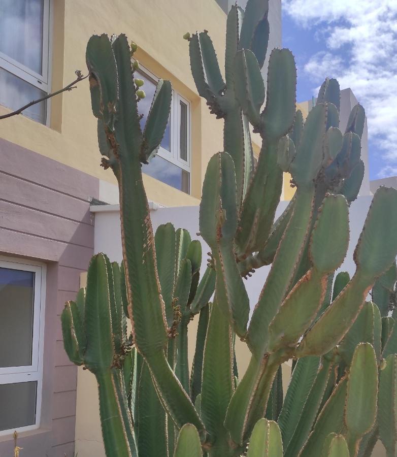 Apartamento Con Azotea Privada #Thefunnycactus Apartment Puerto del Rosario  Bagian luar foto